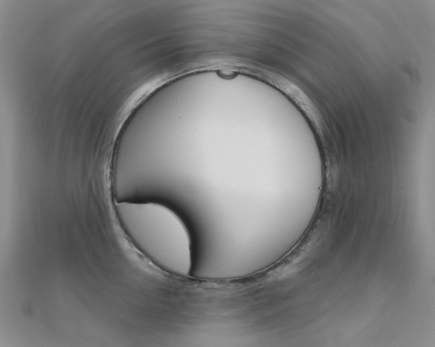 X0000112160954200908070936