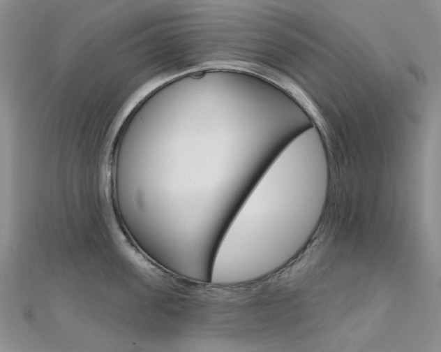 X0000112160955200908070936