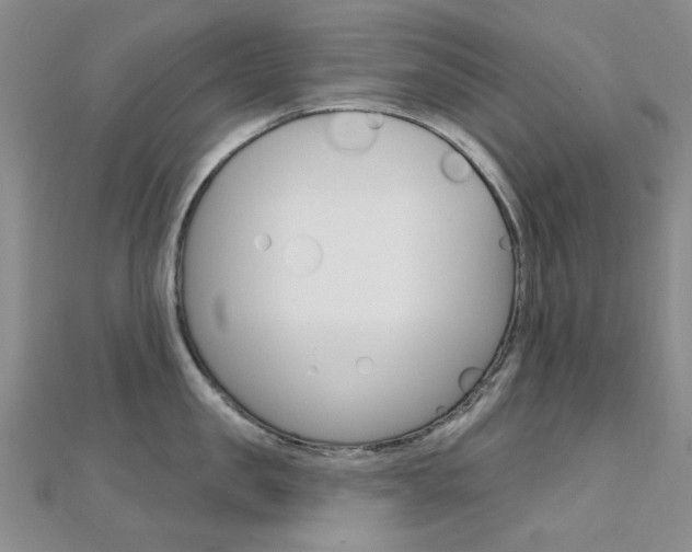 X0000112160957200908070936