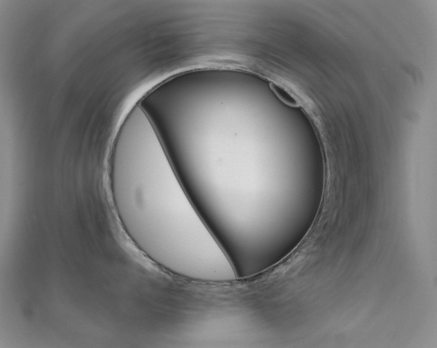 X0000112160960200908070936