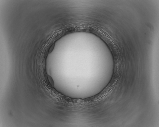 X0000112160961200908070935