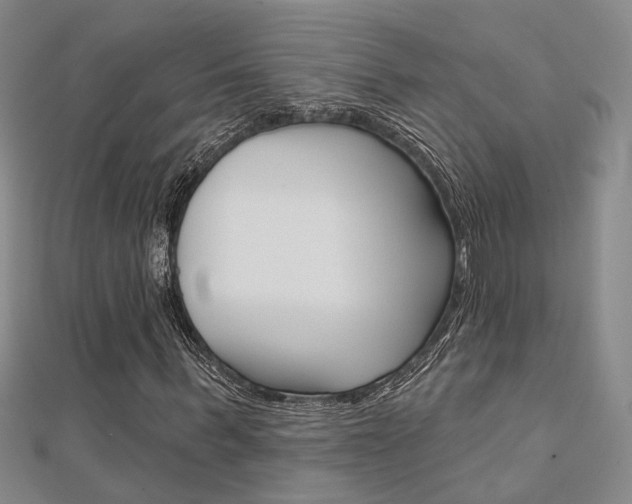 X0000112160963200908070935