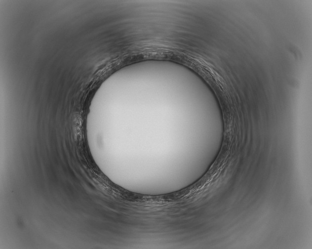 X0000112160964200908070935