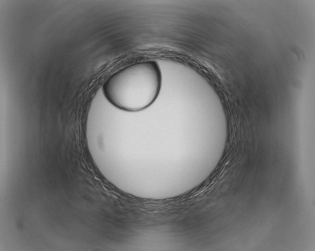 X0000112160965200908070935