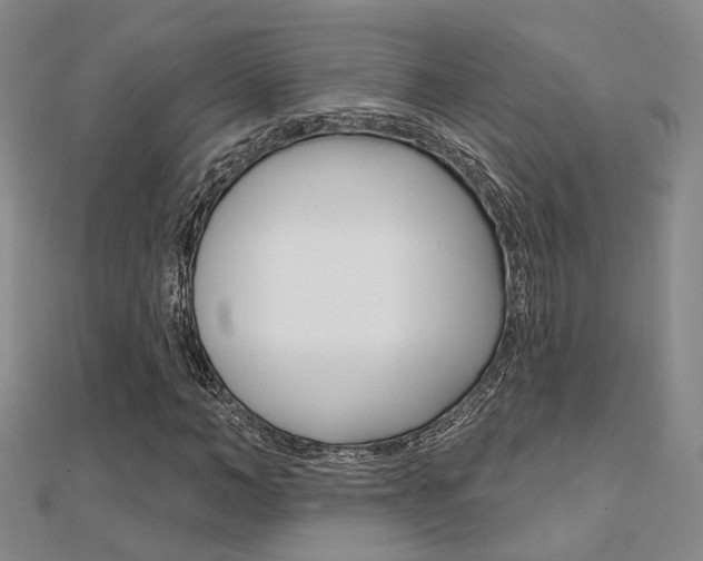 X0000112160966200908070935