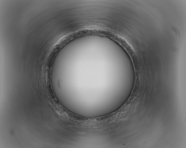 X0000112160968200908070935