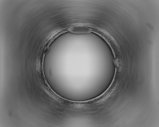 X0000112160969200908070935