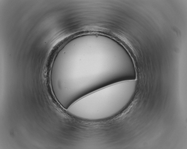 X0000112160971200908070935