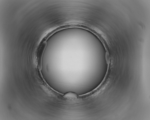 X0000112160973200908070935