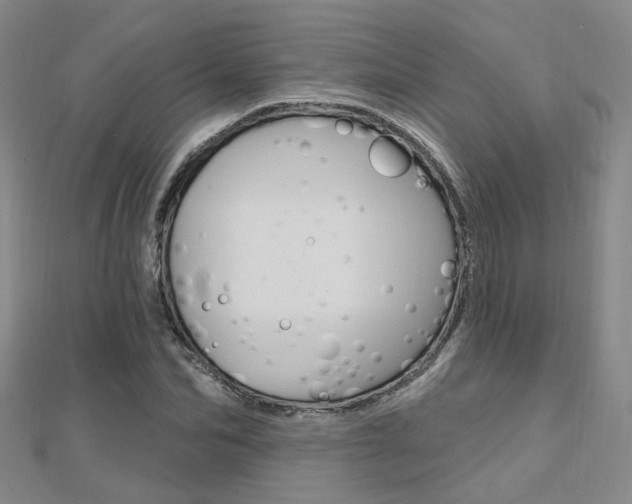 X0000112160974200908070935