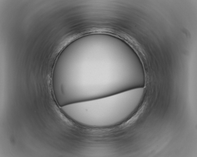 X0000112160985200908070935