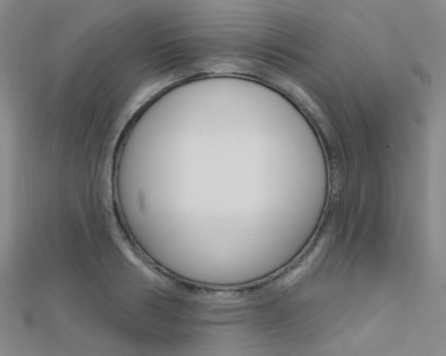 X0000112160986200908070935