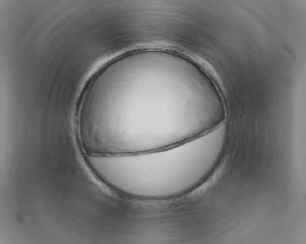 X0000112160989200908070935