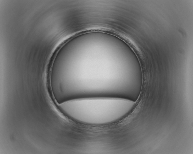 X0000112160991200908070935
