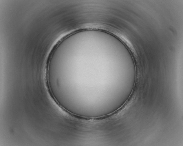 X0000112160992200908070935