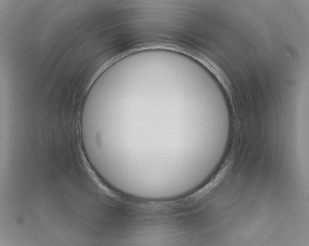 X0000112160993200908070935
