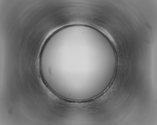 X0000112160996200908070934