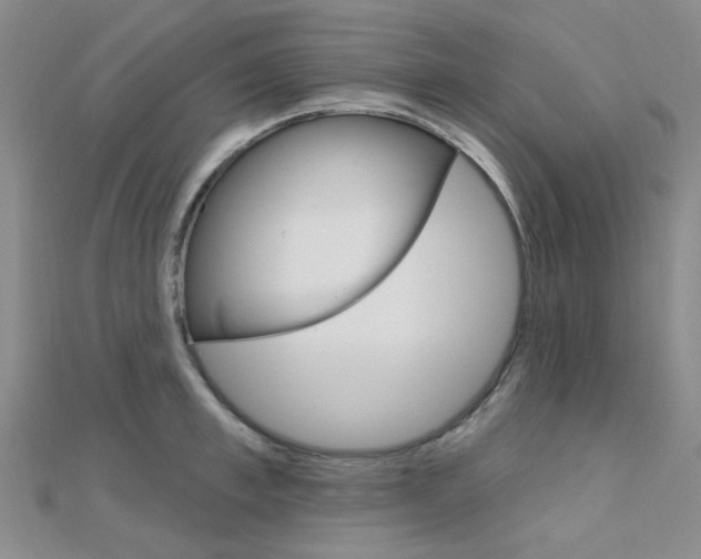 X0000112160997200908070934