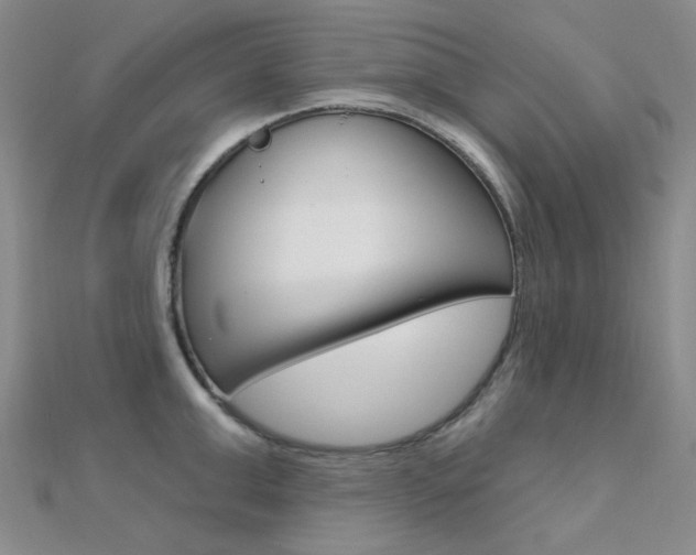 X0000112160999200908070934