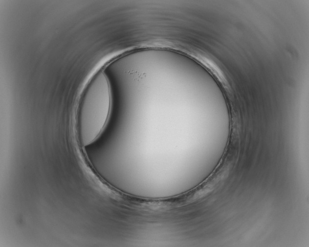X0000112161000200908070934