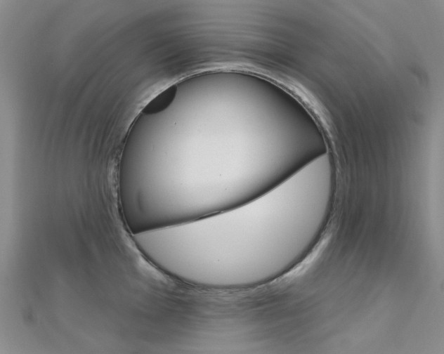 X0000112161001200908070934