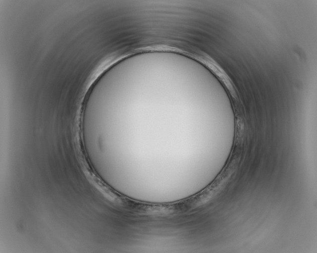 X0000112161002200908070934