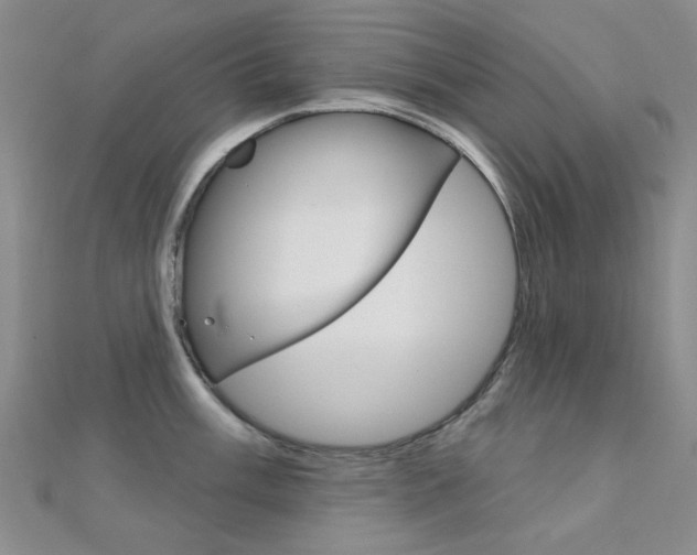 X0000112161003200908070934