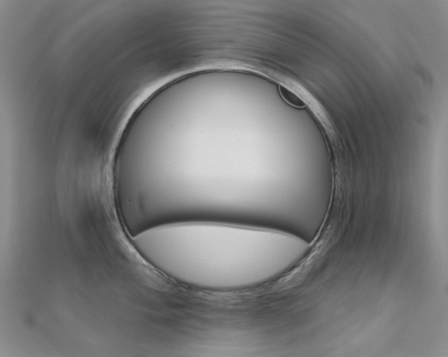 X0000112161004200908070934