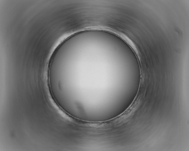 X0000112161005200908070934