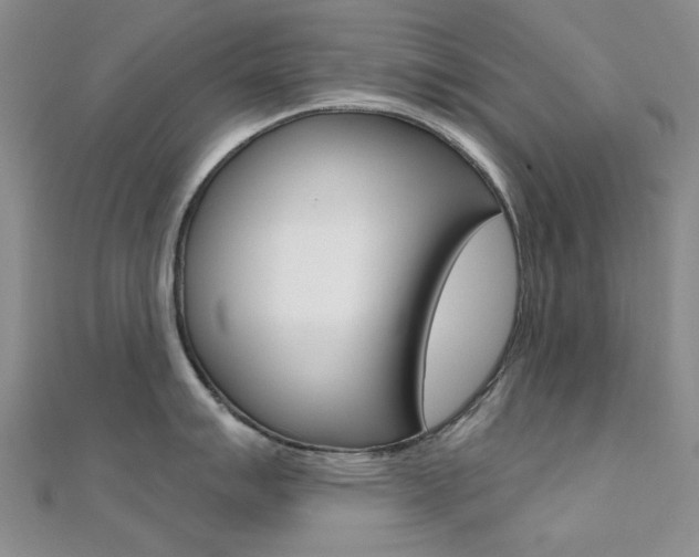 X0000112161007200908070934