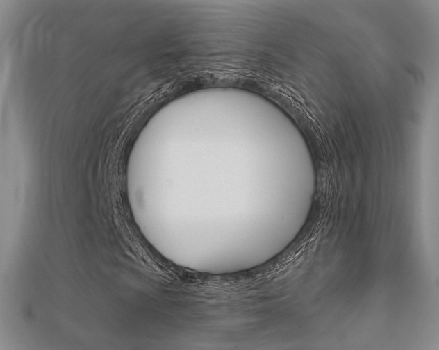 X0000112161009200908070934