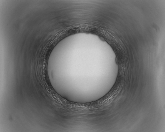 X0000112161010200908070934