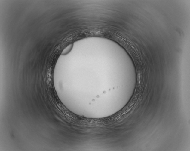 X0000112161011200908070934