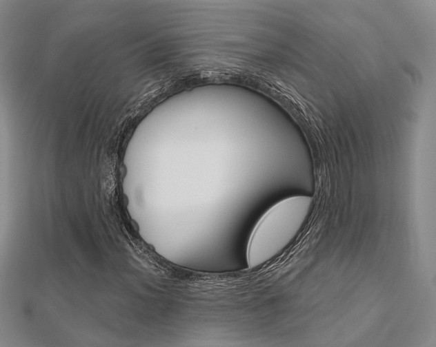X0000112161012200908070934