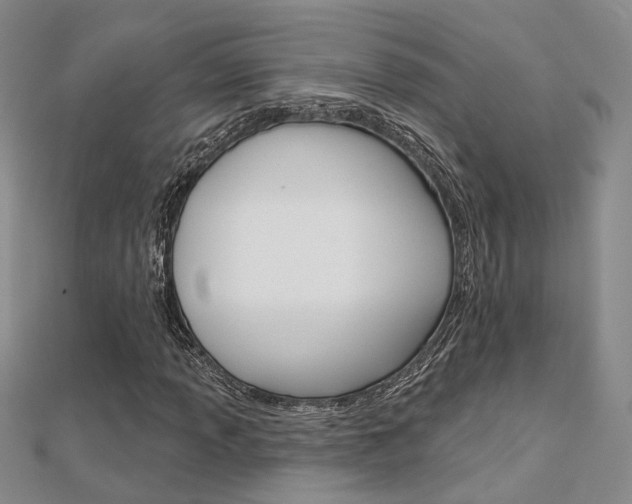 X0000112161013200908070934