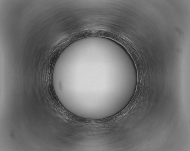 X0000112161014200908070934