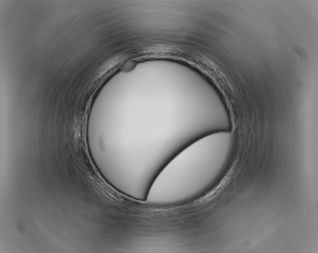 X0000112161017200908070934