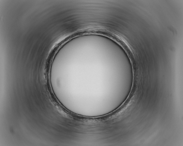 X0000112161018200908070934