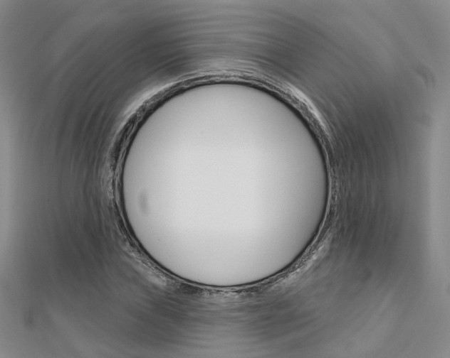 X0000112161019200908070934