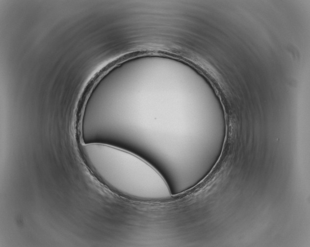 X0000112161020200908070934