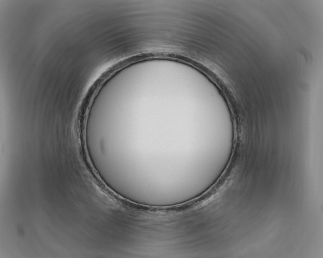 X0000112161022200908070934