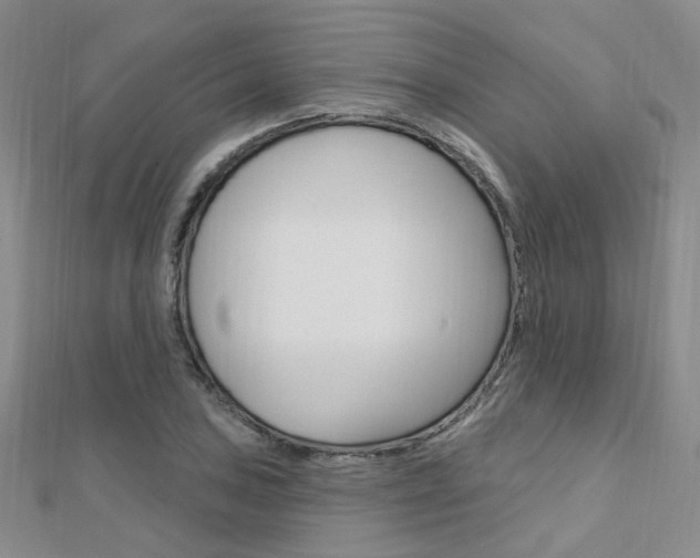 X0000112161027200908070934