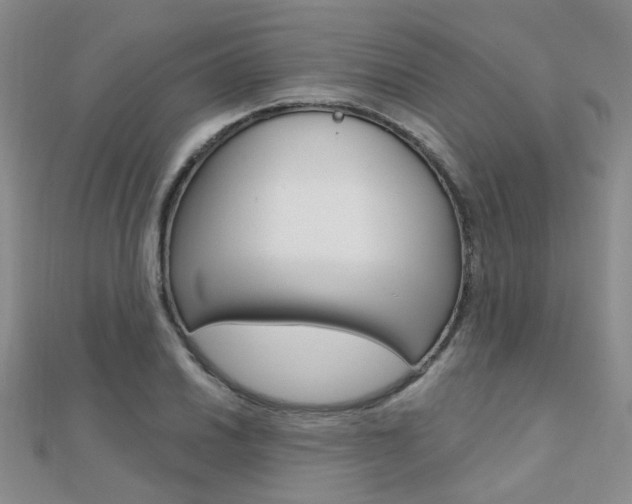 X0000112161030200908070934
