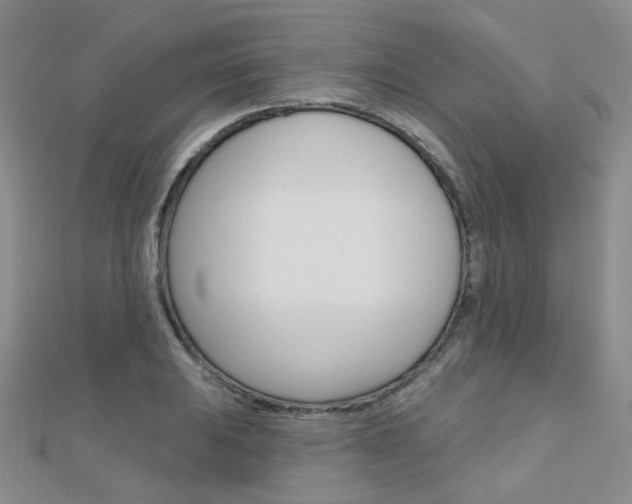 X0000112161031200908070934