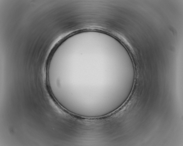 X0000112161032200908070934