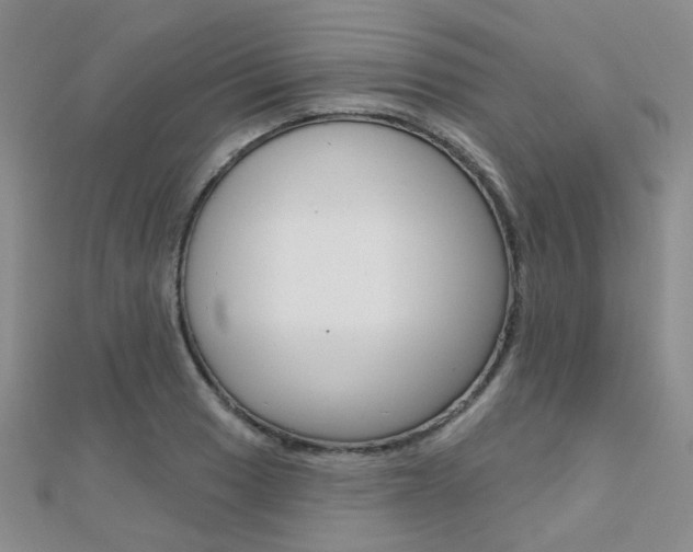 X0000112161033200908070934