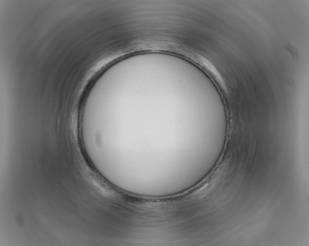 X0000112161035200908070934