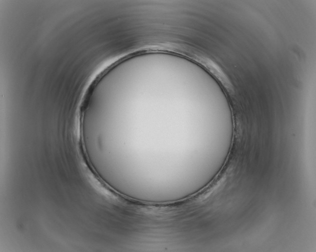 X0000112161036200908070934