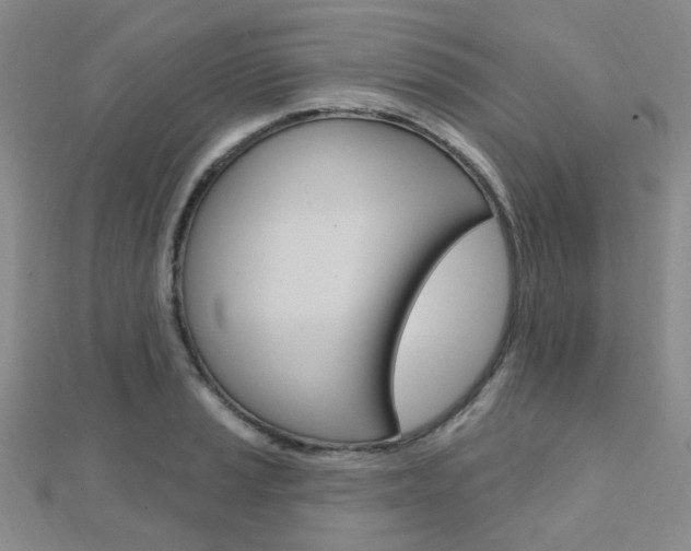 X0000112161037200908070934
