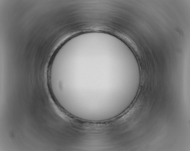 X0000112161039200908070934
